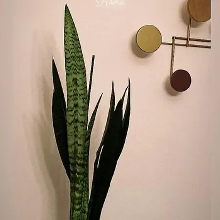 Dom wakacyjny My Spiritual Vintage For You! *